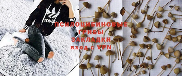 spice Абдулино