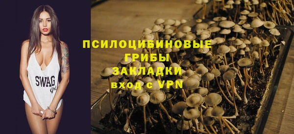 spice Абдулино