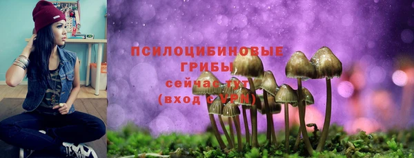 mix Абинск