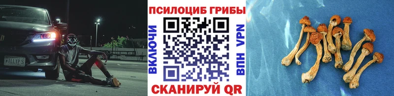 Галлюциногенные грибы GOLDEN TEACHER мега tor Электроугли